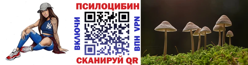 где найти наркотики  Киров  это официальный сайт  Псилоцибиновые грибы прущие грибы 